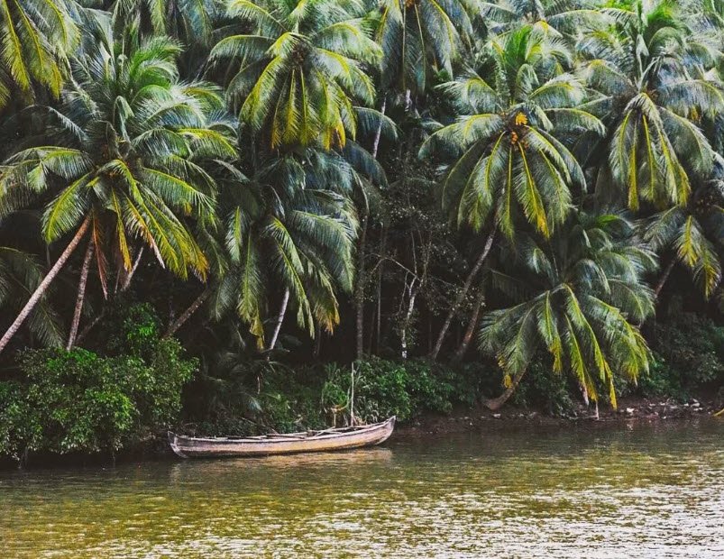 Kadavu Island, Kozhikode, Kerala - Vushii.com Kadavu Island, Kozhikode, Kerala - Vushii.com